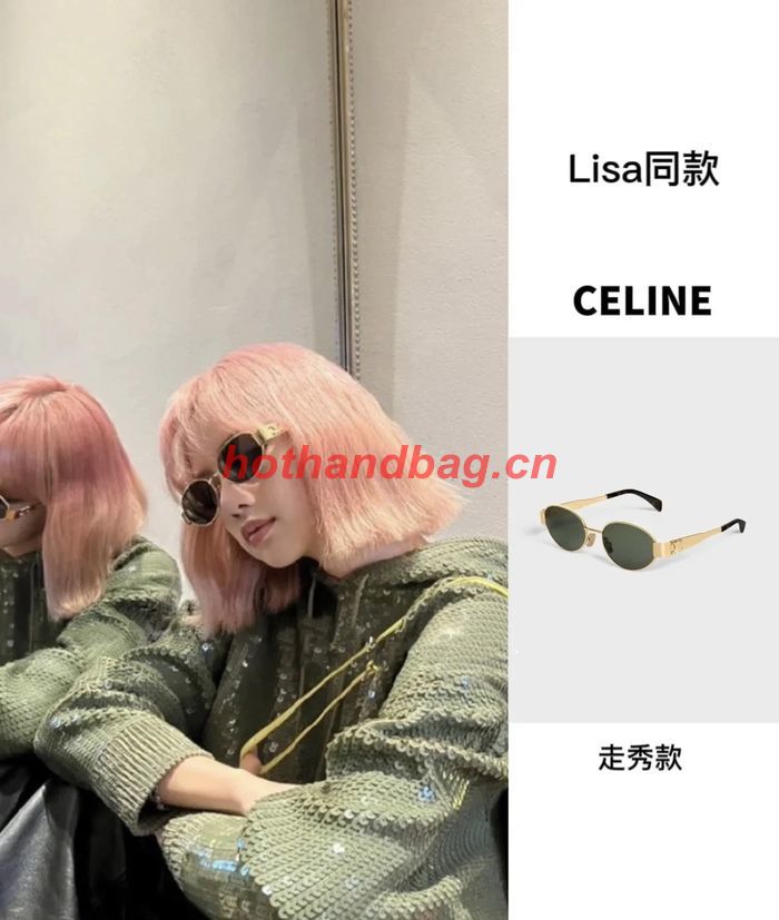 Celine Sunglasses Top Quality CES00988