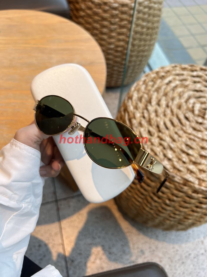 Celine Sunglasses Top Quality CES00993