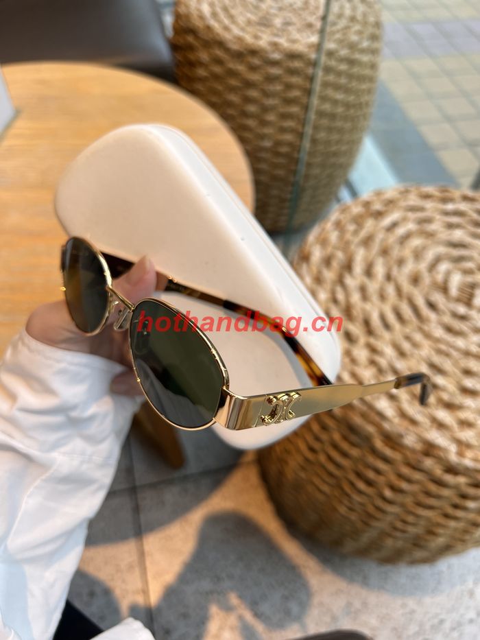 Celine Sunglasses Top Quality CES00994