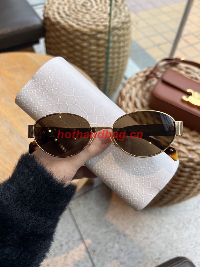 Celine Sunglasses Top Quality CES00997