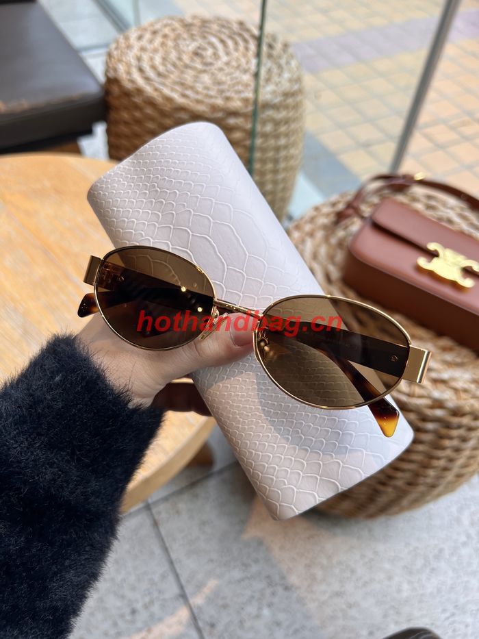 Celine Sunglasses Top Quality CES00998