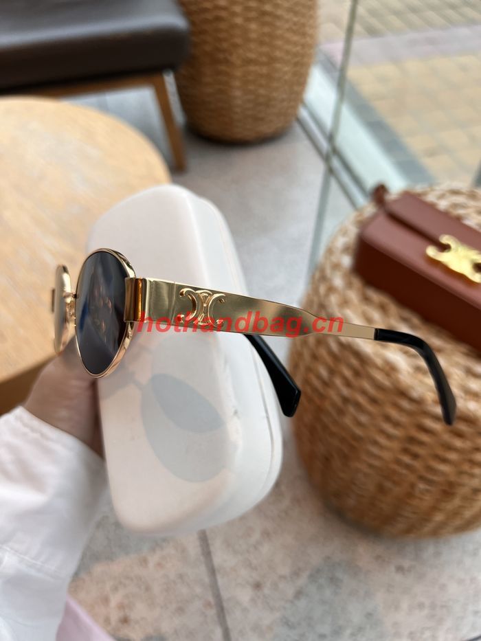 Celine Sunglasses Top Quality CES01014