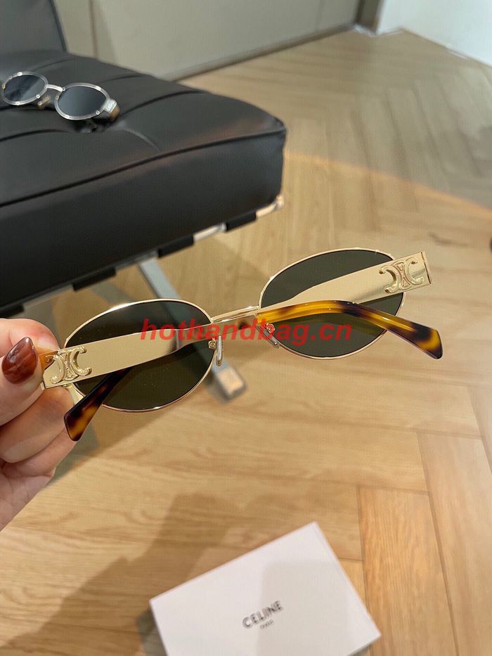 Celine Sunglasses Top Quality CES01019