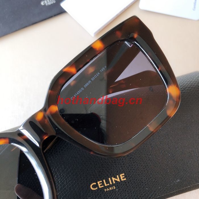 Celine Sunglasses Top Quality CES01034
