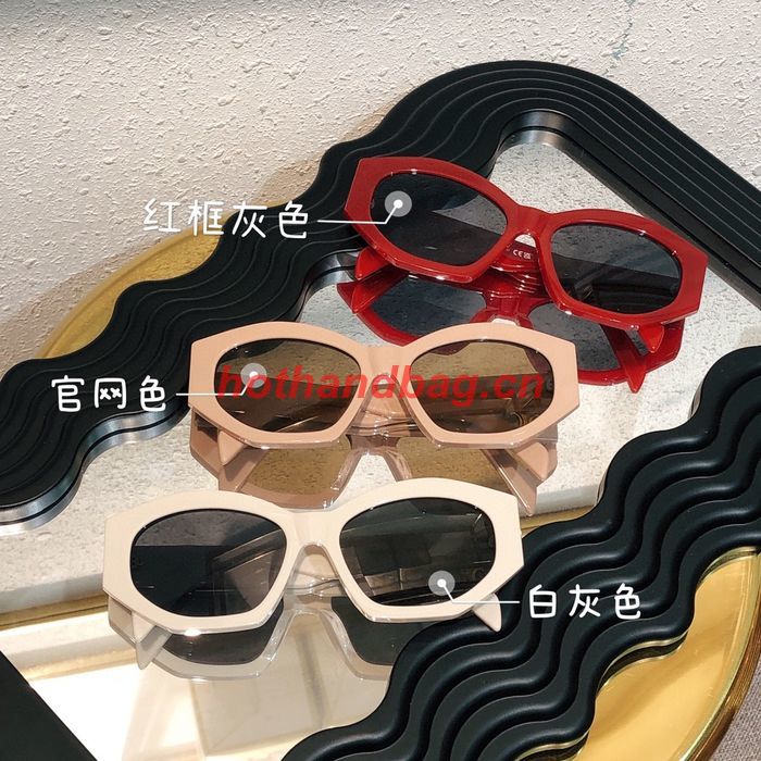 Celine Sunglasses Top Quality CES01073