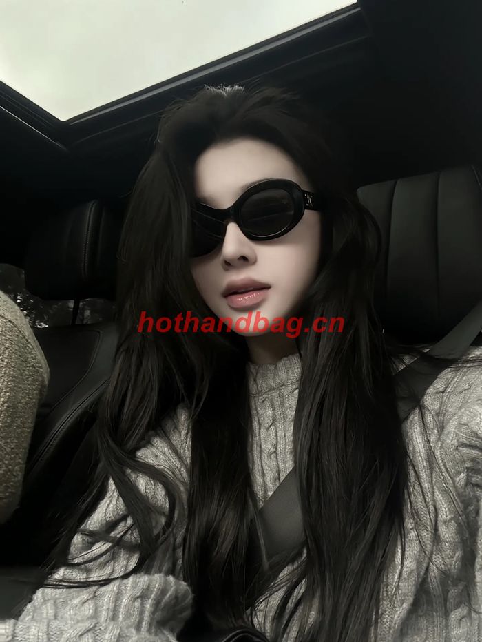 Celine Sunglasses Top Quality CES01083