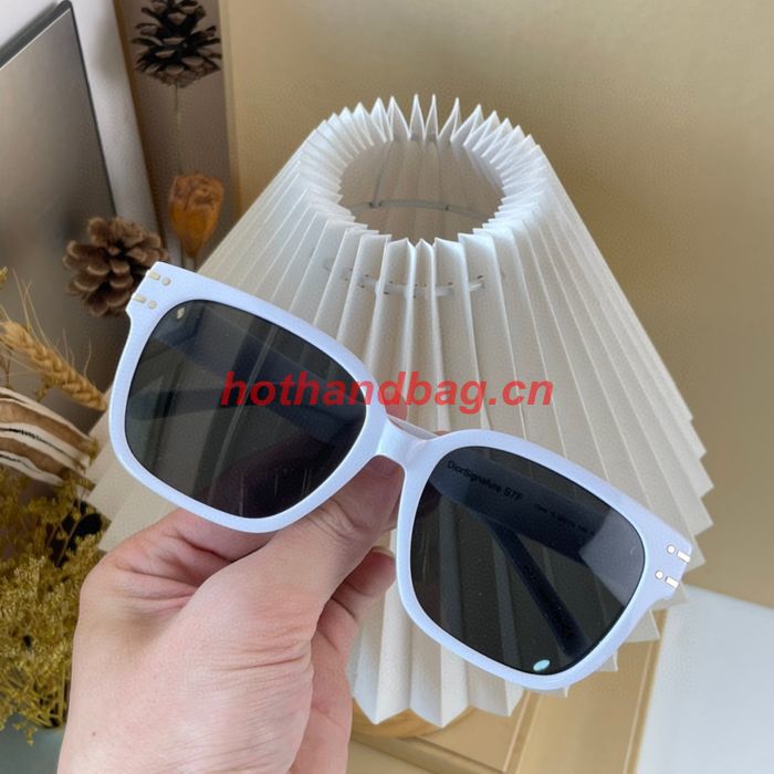 Dior Sunglasses Top Quality DIS01720
