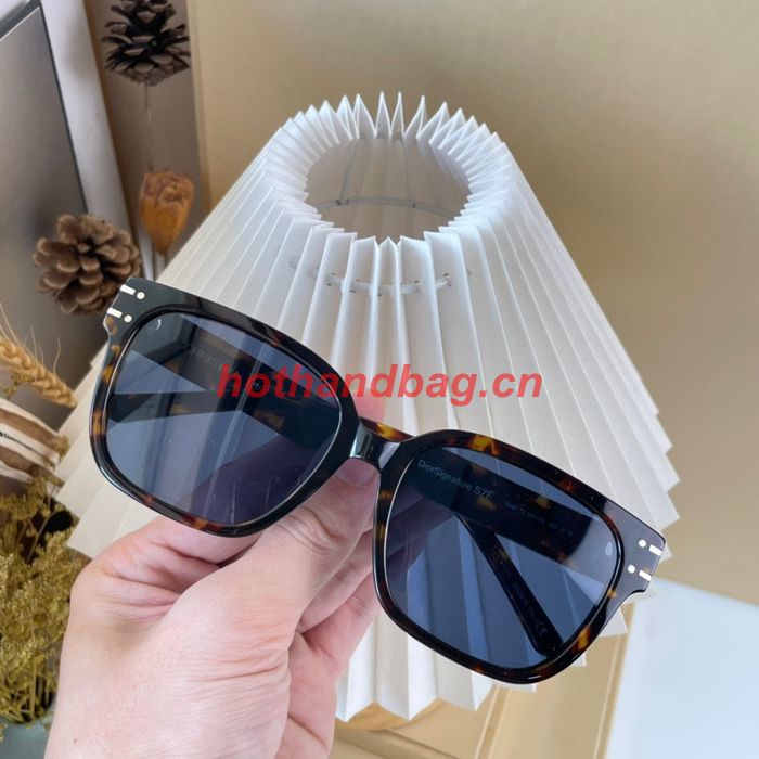 Dior Sunglasses Top Quality DIS01722