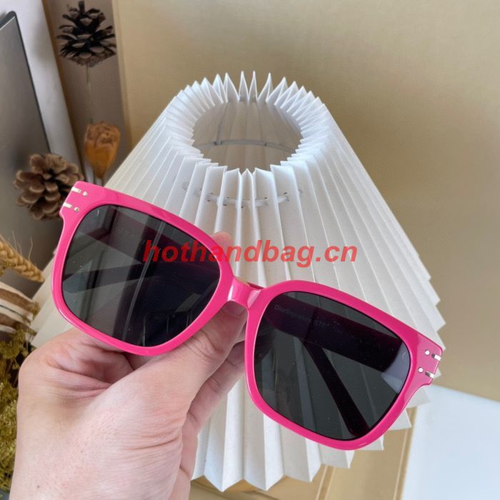 Dior Sunglasses Top Quality DIS01724