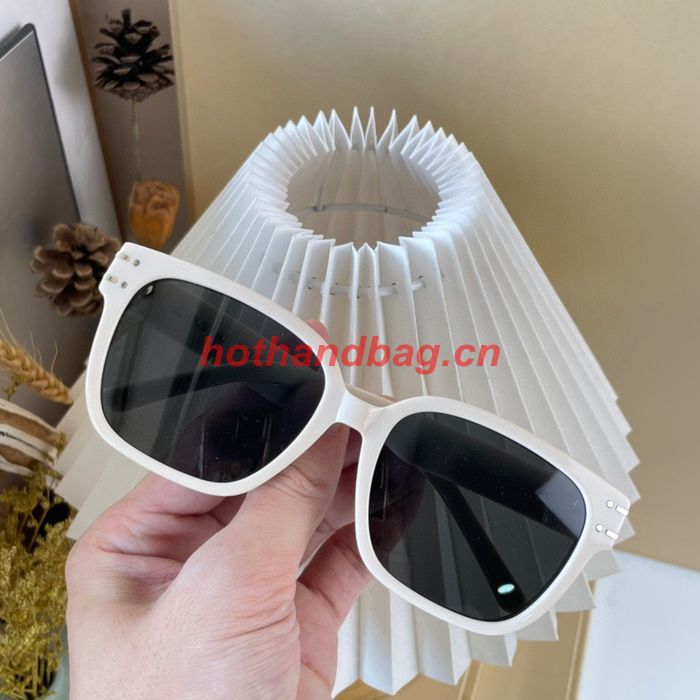 Dior Sunglasses Top Quality DIS01726