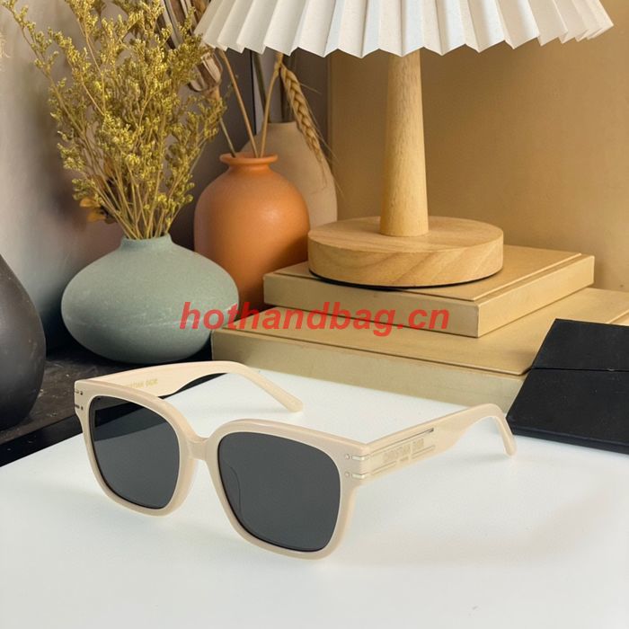 Dior Sunglasses Top Quality DIS01728
