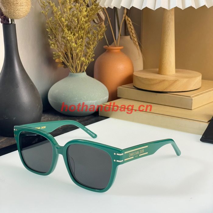Dior Sunglasses Top Quality DIS01734