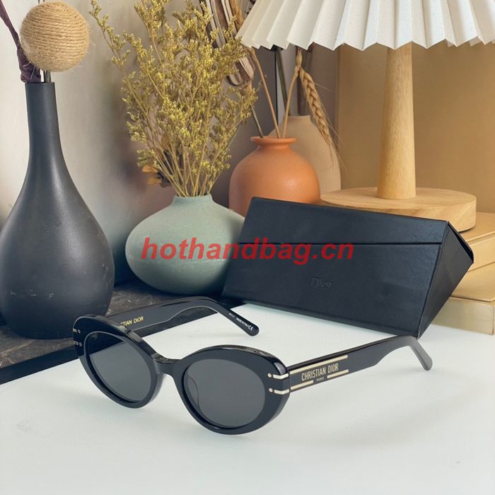 Dior Sunglasses Top Quality DIS01748