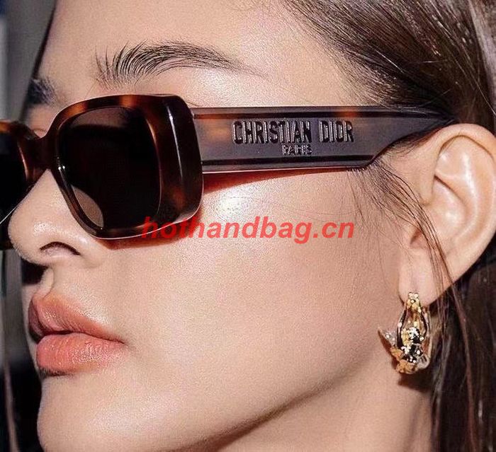 Dior Sunglasses Top Quality DIS02387
