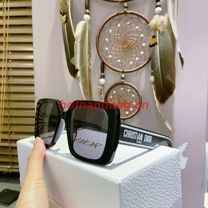 Dior Sunglasses Top Quality DIS02426