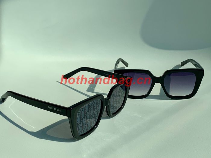 Dior Sunglasses Top Quality DIS02479