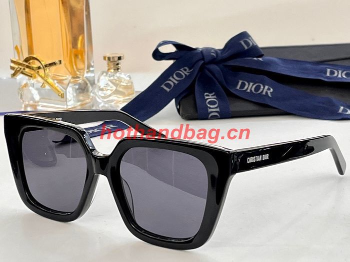 Dior Sunglasses Top Quality DIS02481