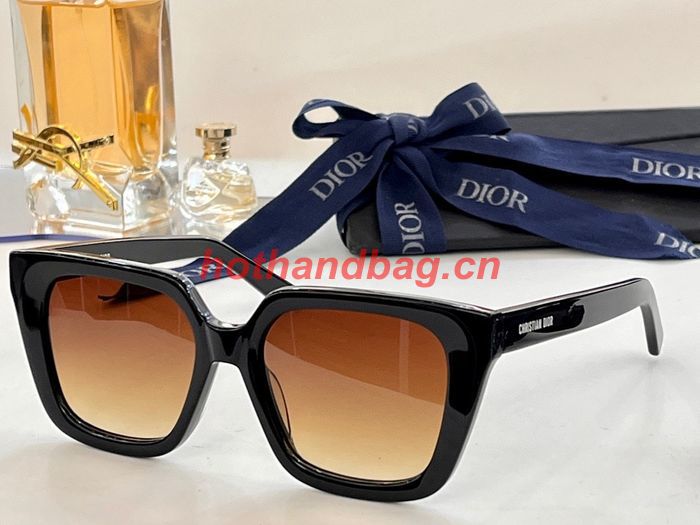 Dior Sunglasses Top Quality DIS02482