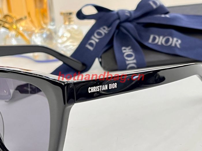 Dior Sunglasses Top Quality DIS02488