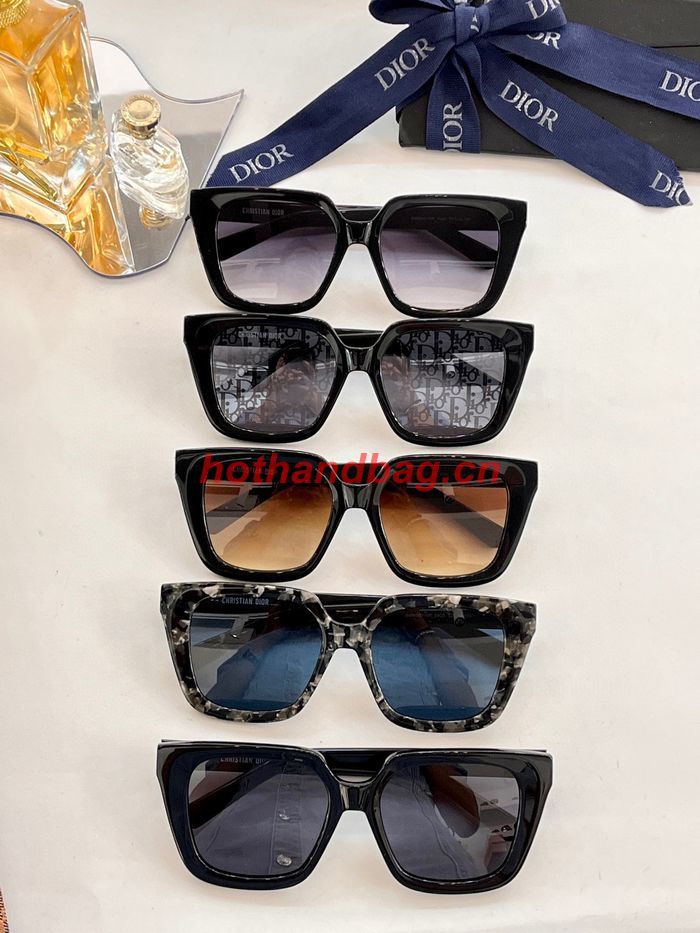 Dior Sunglasses Top Quality DIS02489