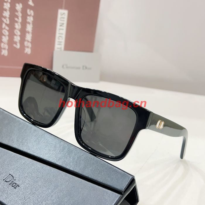 Dior Sunglasses Top Quality DIS02490