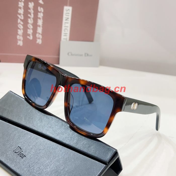 Dior Sunglasses Top Quality DIS02491