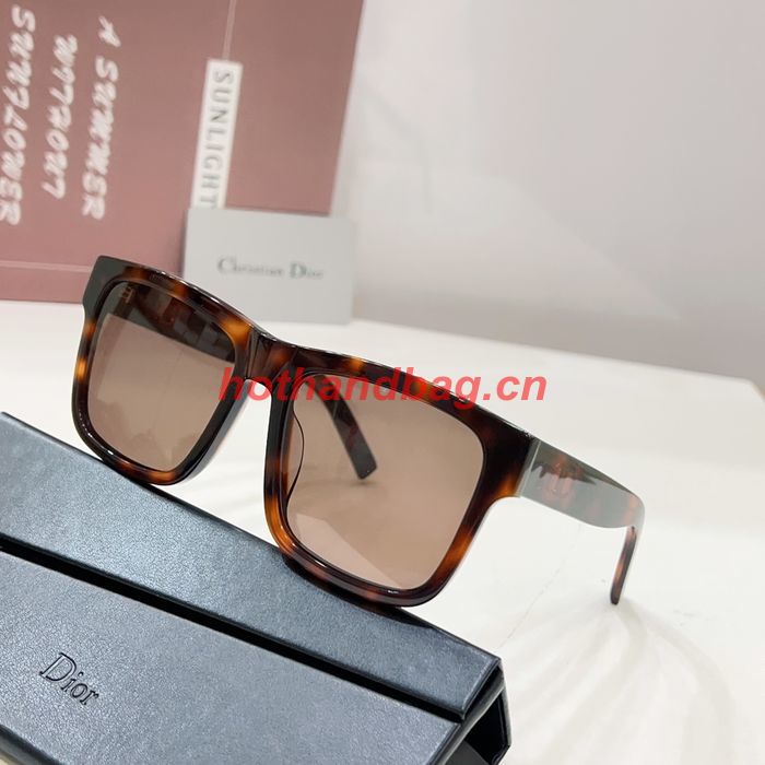 Dior Sunglasses Top Quality DIS02496