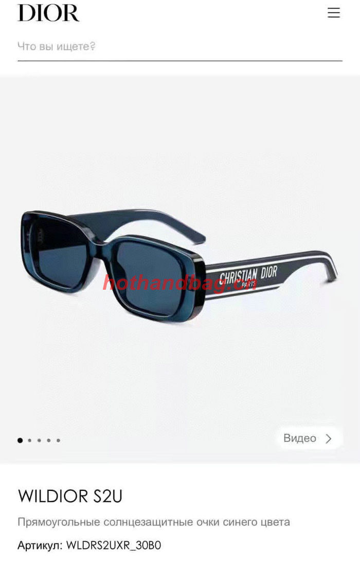 Dior Sunglasses Top Quality DIS02557