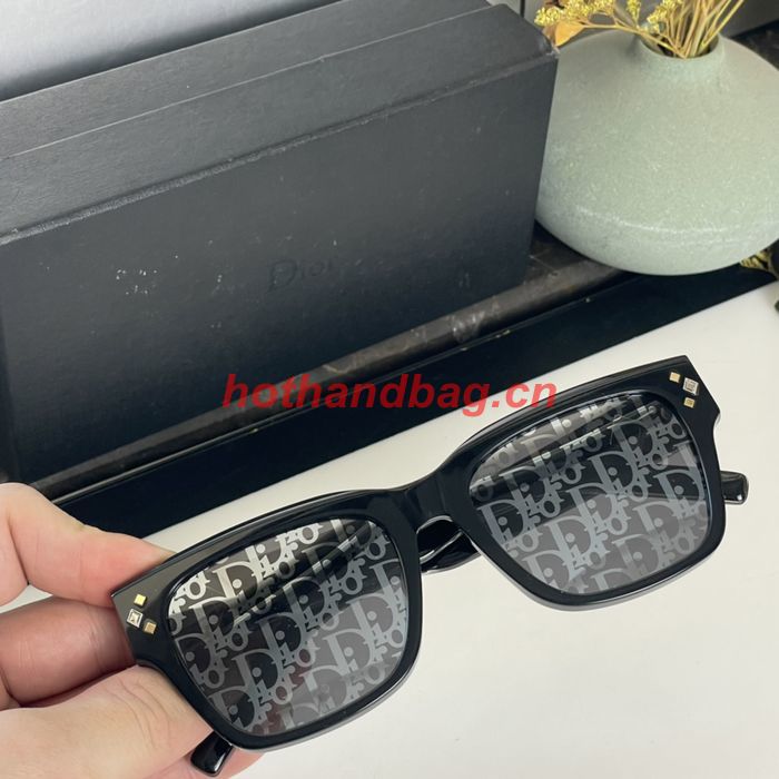Dior Sunglasses Top Quality DIS02583