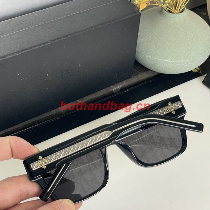 Dior Sunglasses Top Quality DIS02584