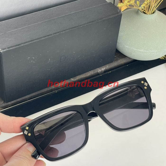 Dior Sunglasses Top Quality DIS02593
