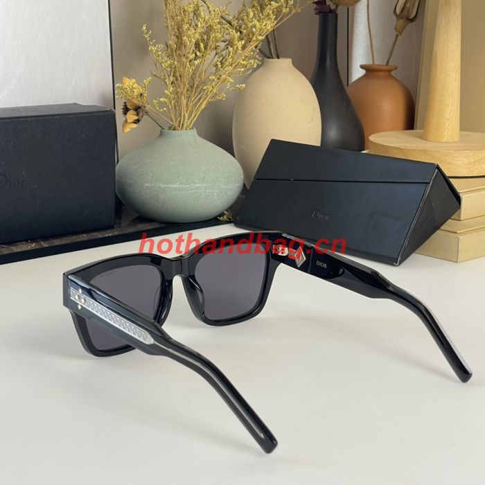 Dior Sunglasses Top Quality DIS02598