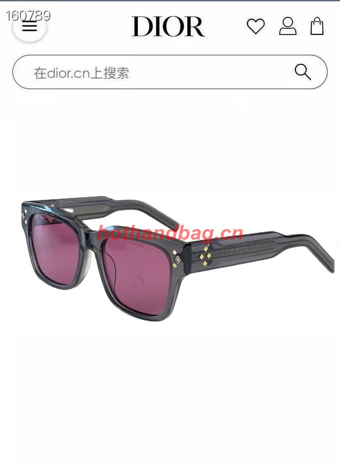 Dior Sunglasses Top Quality DIS02601