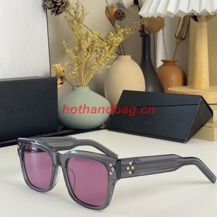 Dior Sunglasses Top Quality DIS02604