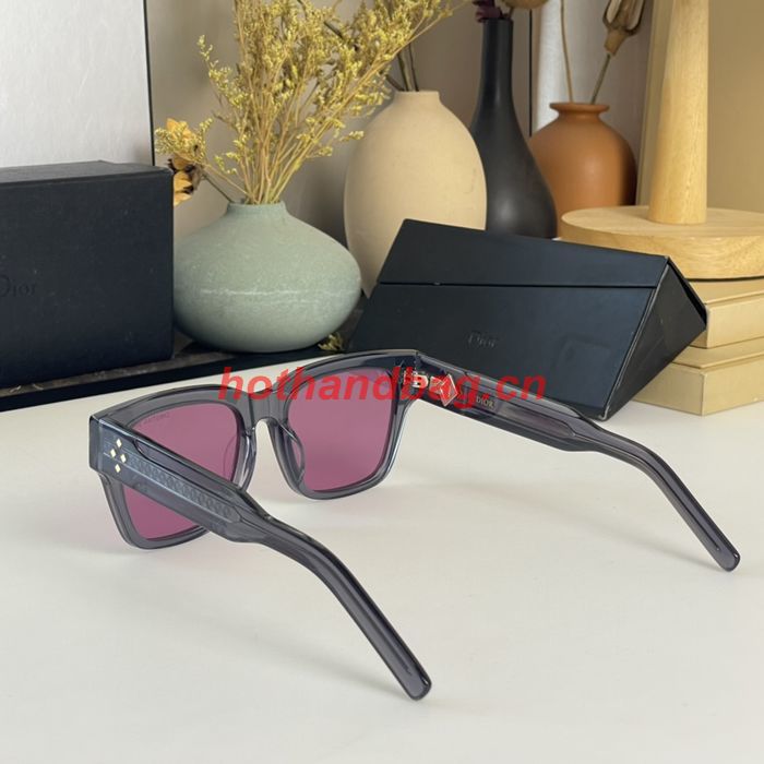 Dior Sunglasses Top Quality DIS02607