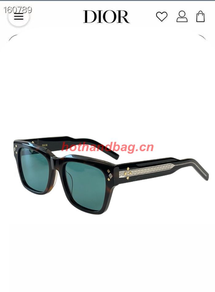 Dior Sunglasses Top Quality DIS02610