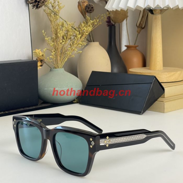 Dior Sunglasses Top Quality DIS02613