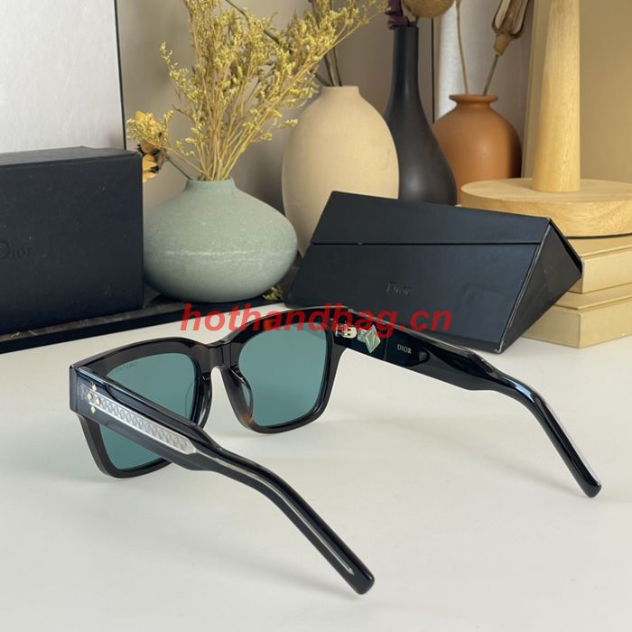 Dior Sunglasses Top Quality DIS02616