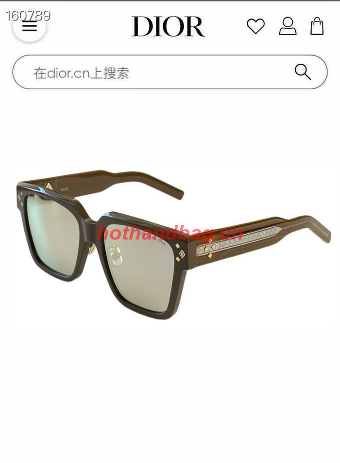 Dior Sunglasses Top Quality DIS02628