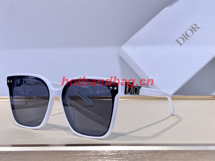 Dior Sunglasses Top Quality DIS02862
