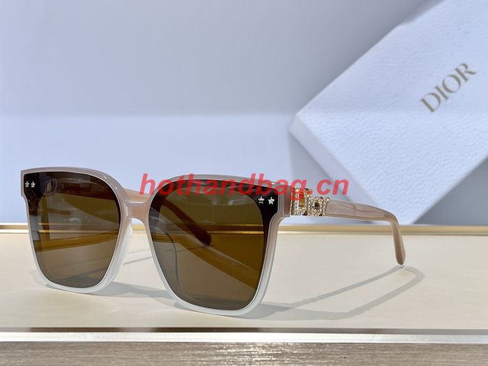 Dior Sunglasses Top Quality DIS02865