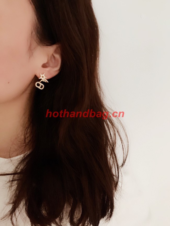 Dior Earrings CE10943