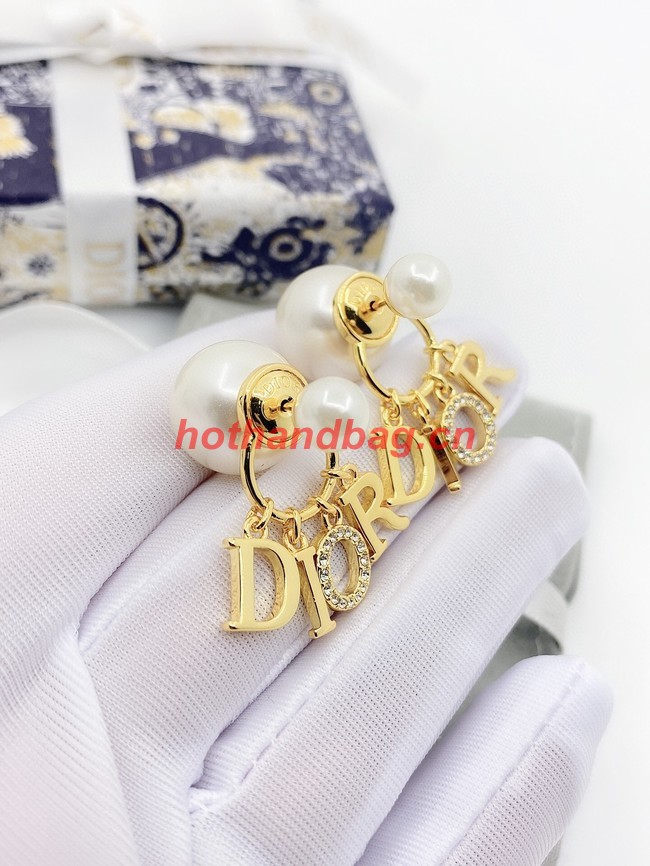 Dior Earrings CE10944