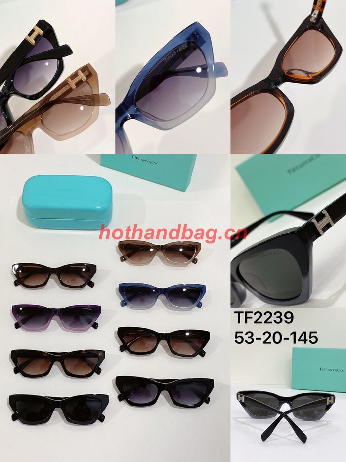 Tiffany Sunglasses Top Quality TFS00010