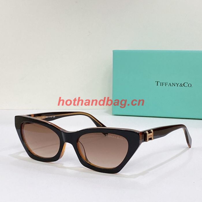 Tiffany Sunglasses Top Quality TFS00013