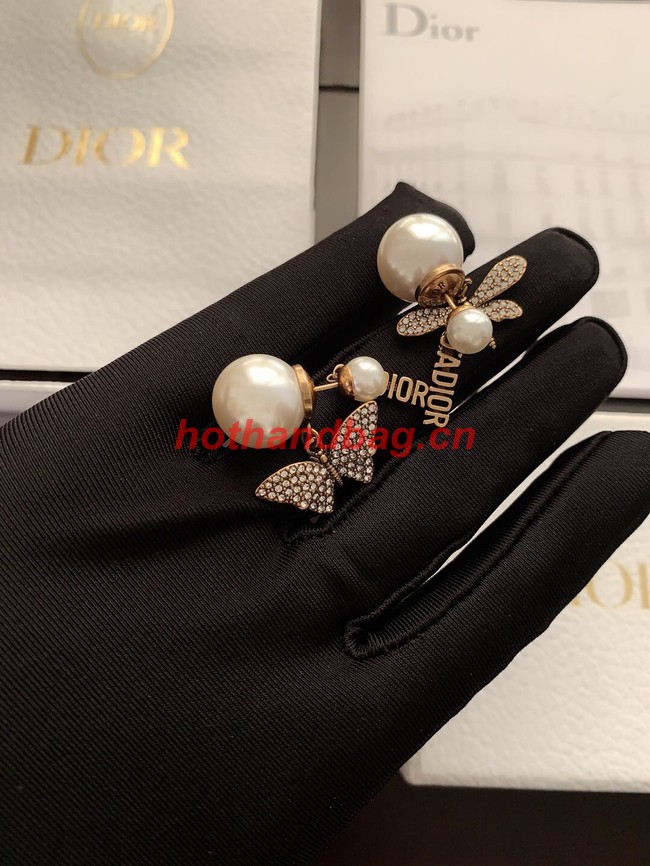 Dior Earrings CE11115
