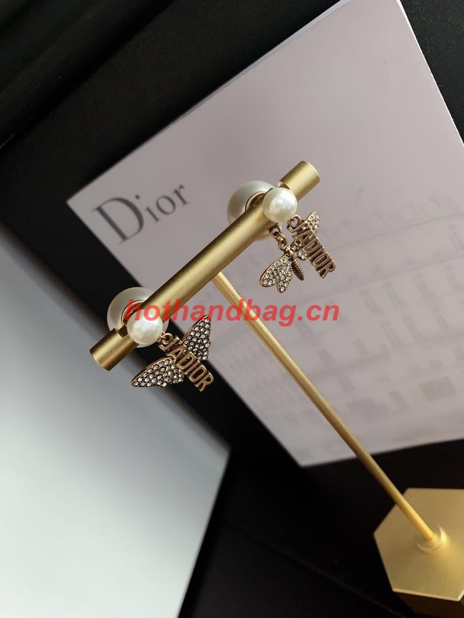 Dior Earrings CE11115