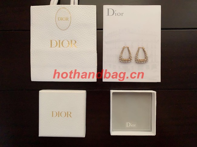 Dior Earrings CE11117