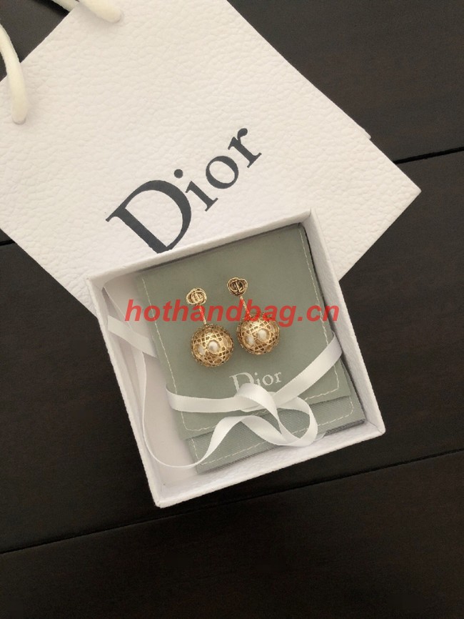 Dior Earrings CE11120