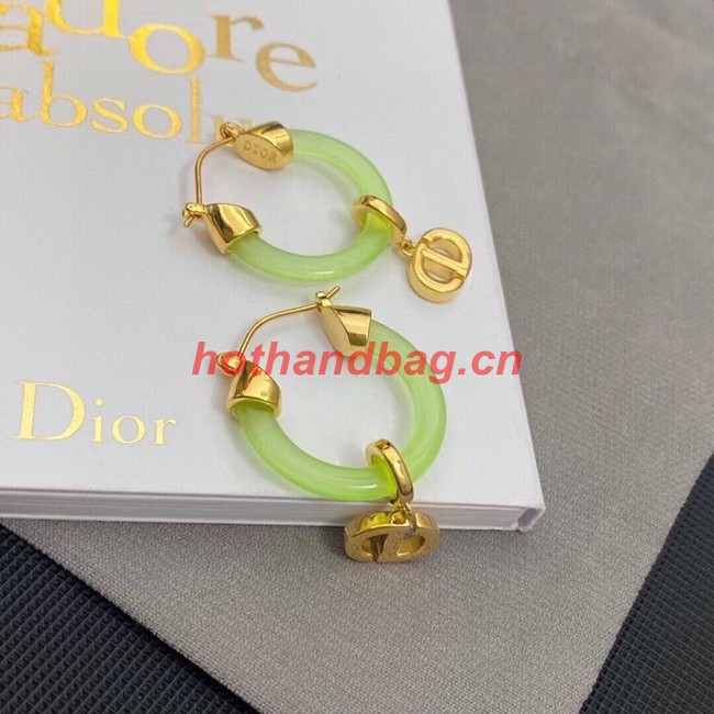 Dior Earrings CE11198
